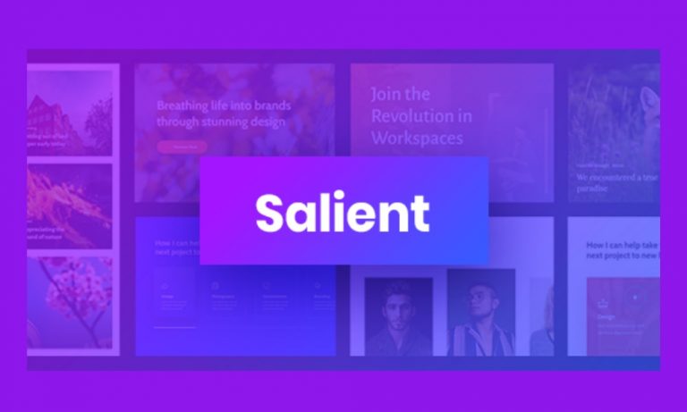Salient WordPress Theme - Review - 2023